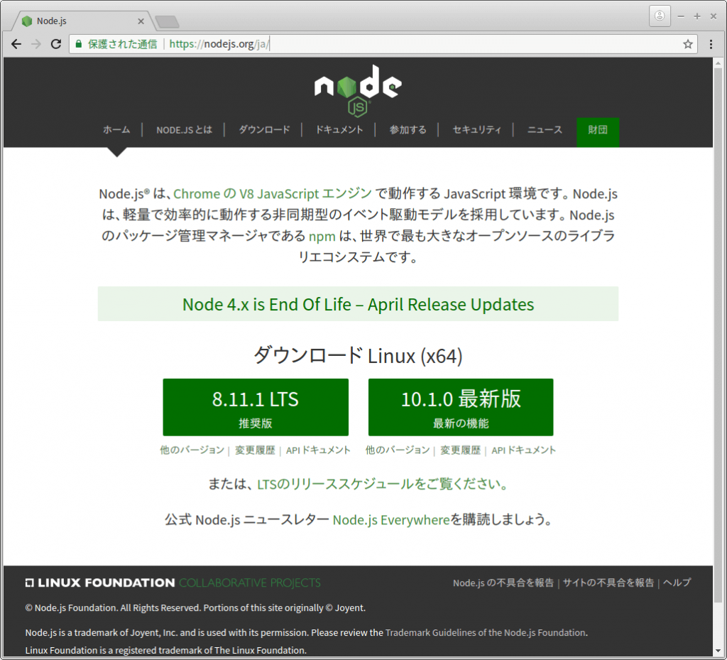 node.js オファー セットアップ